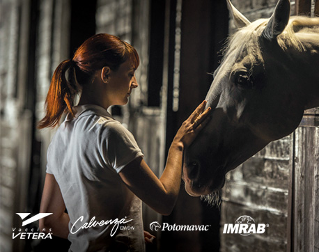 VETERA<sup>&reg;</sup> | CALVENZA<sup>&reg;</sup> | POTOMAVAC<sup class="mc">MC</sup> | Imrab<sup>&reg;</sup>