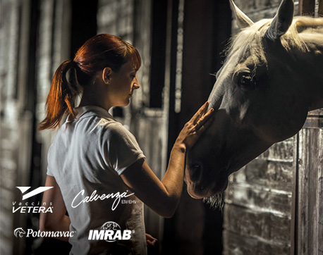 VETERA<sup>&reg;</sup> | CALVENZA<sup>&reg;</sup> | POTOMAVAC<sup class="mc">MC</sup> | Imrab<sup>&reg;</sup>